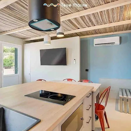 Jack's Tale, Terre Marine *